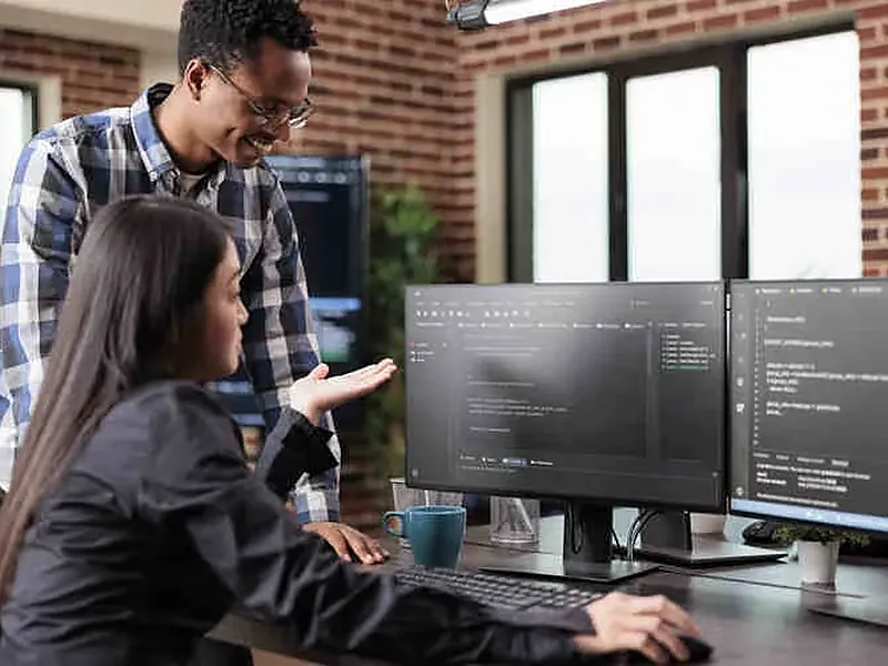 Tantra Track developers working together
